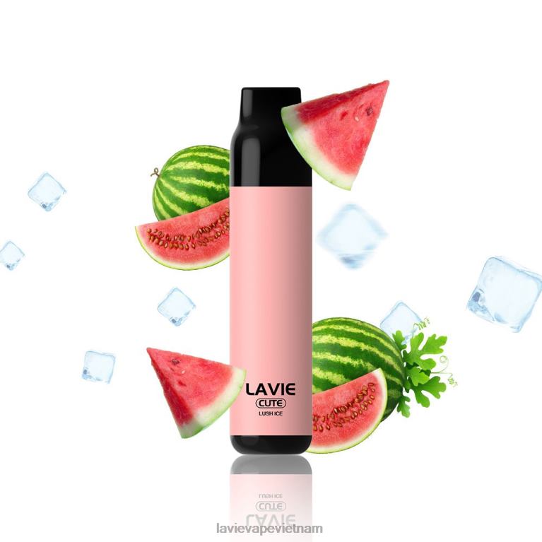 băng tươi tốt LAVIE BAR 3000 hơi thở 2DL84285 | Mua Lavie